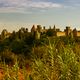 Carcassonne 