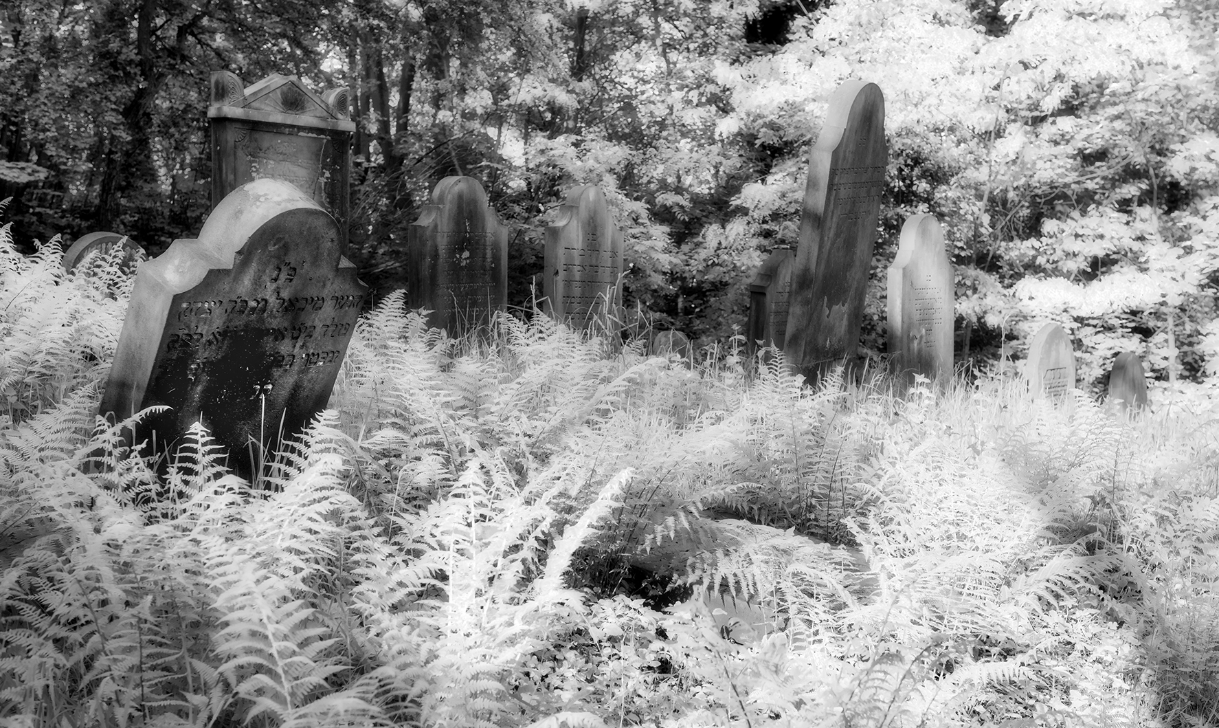 4857Q Judenfriedhof  IR