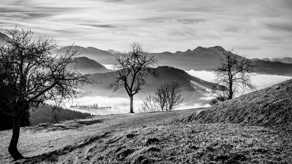 Foggy Mountains von Ernst Pichler 