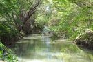 Tranquilla mattina di primavera al fiume by Nicola Napolitano