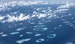 Malediven - Baa Atoll von Dietmar Mävers