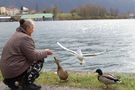 Herbstflug von hamsterman