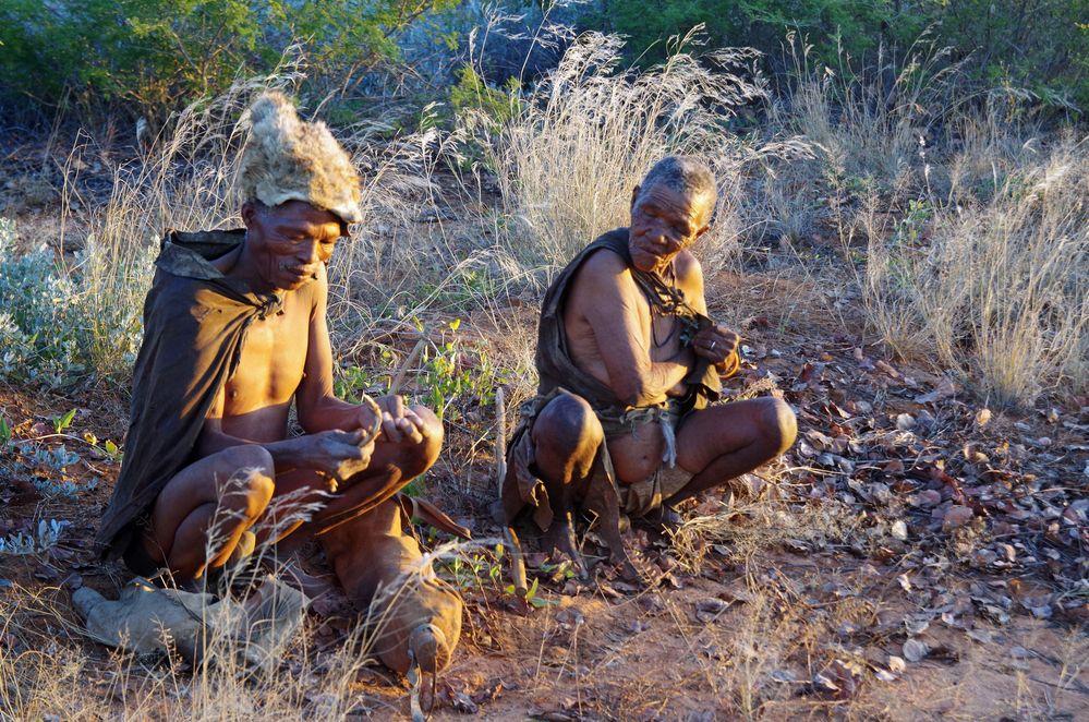 Bushman von Herbert Lang 