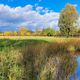 Herbst im norddeutschen Tiefland