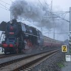 498 104 mit Sonderzug zum Tag des Eisenbahners in CZ