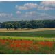 Sommerlandschaft in Mecklenburg