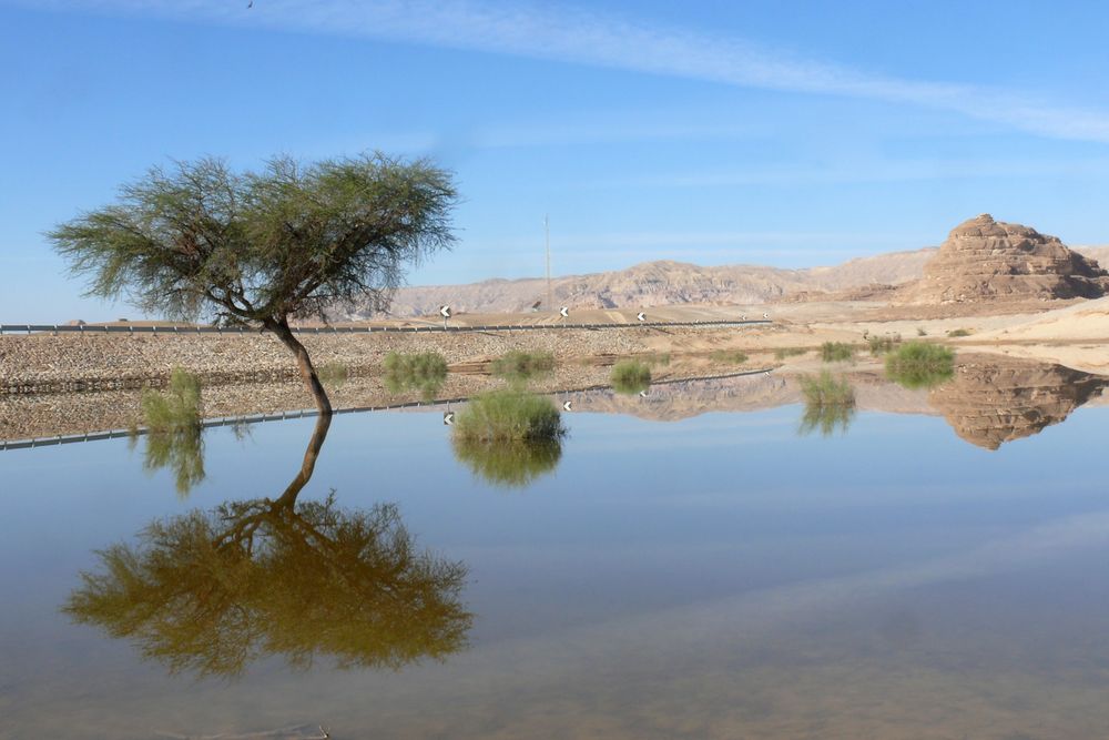 Keine Fata Morgana! von Amenhotep