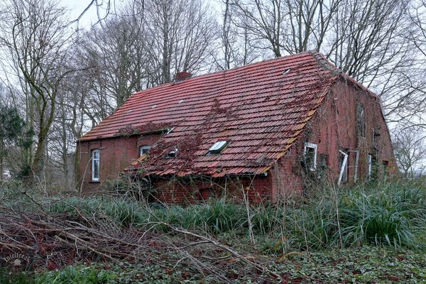 ,.,,,,..,,.,,,....,.,.,...,.,.............,.,,,,