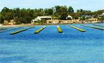 * Oyster Farm / Coffin Bay / Eyre Peninsula * by The Wanderers