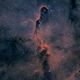 Der Elefantenrssel Nebel IC 1396
