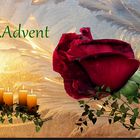 4.Advent