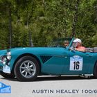 4_austin_healey_5910