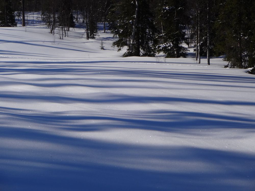 Shadows von elke margit 