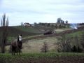 LE CHEVAL DANS LE VIGNOBLE JURASSIEN de BUBUL