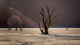 Sehnsuchtsort Namibia von Michael H. Voß