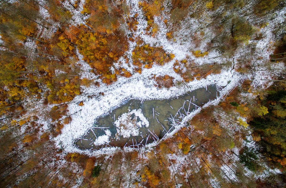 Waldsee von Eurofoto