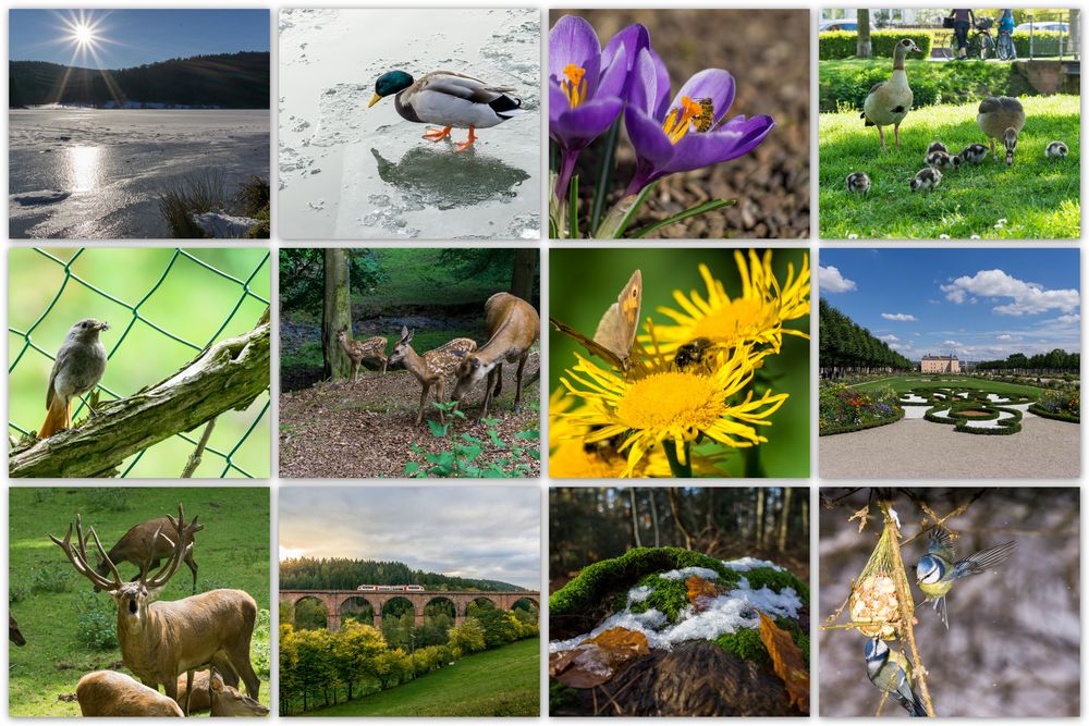 Collage 2017 in Bilder von Muskelmann