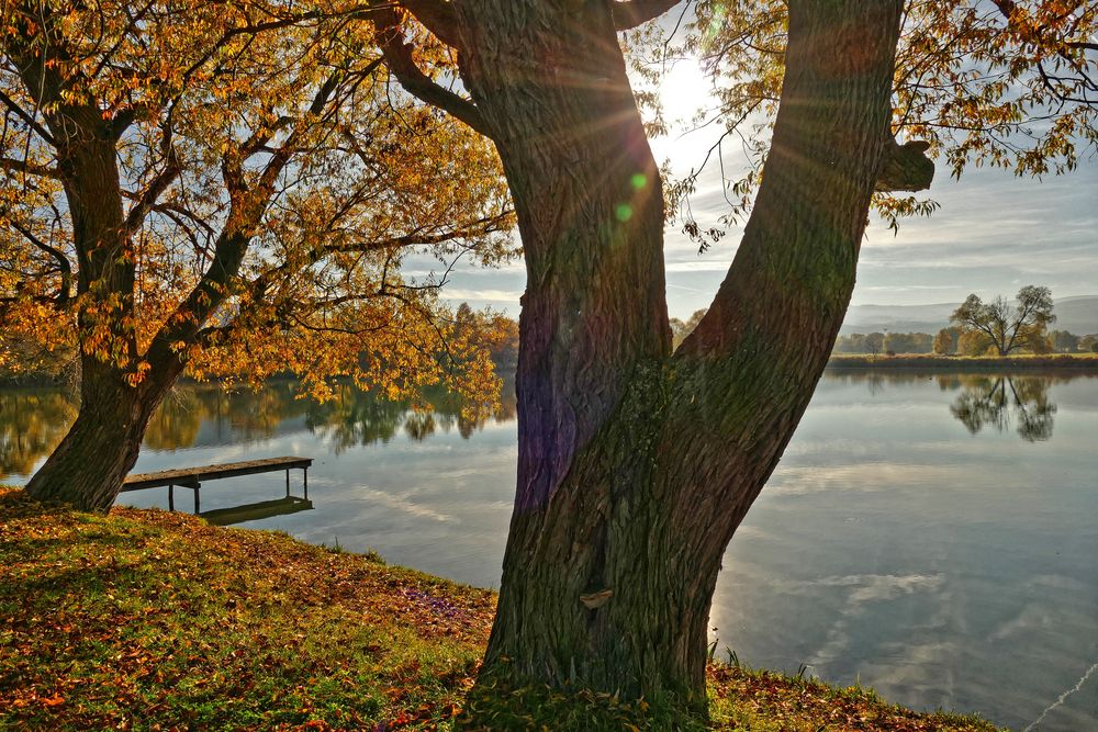 Herbststimmung am Reddeberteich von Torsten Grove