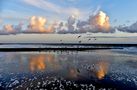 Borkum - Abendstimmung by Reinhold Müller