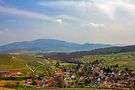 Frühling im Markgräflerland von Hans Karrer