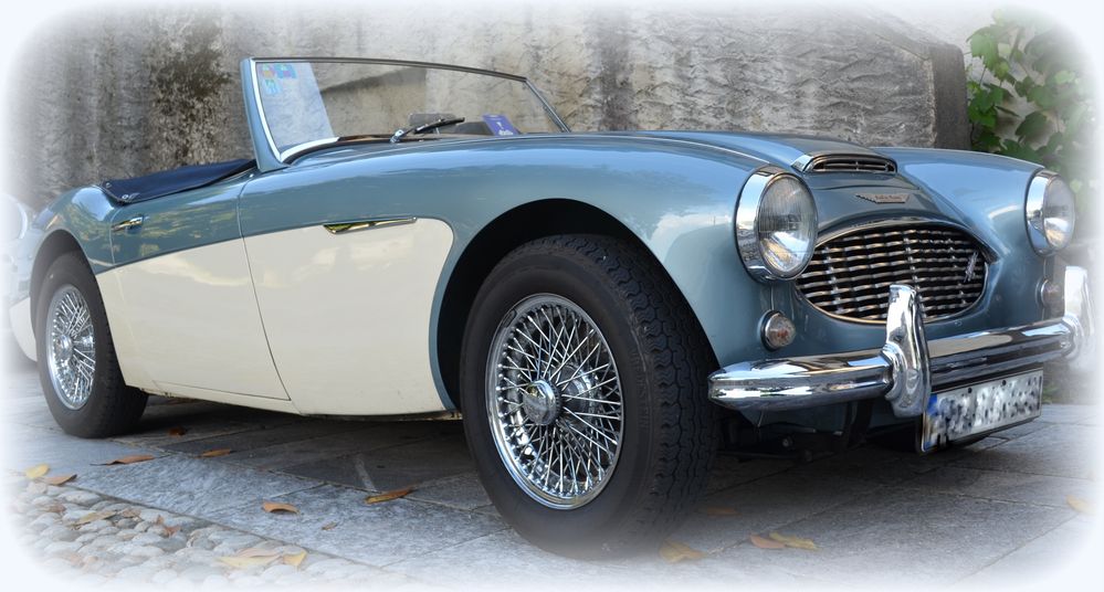 Color Foto Wettbewerb; Austin Healey MK1 3000 von Doris Wepfer