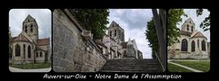 Auvers-sur-Oise de jonquille80