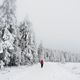 Winter in den Ardennen