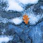 Zwischen Herbst und winter von Alexander Gellner