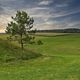 Wiesenlandschaft