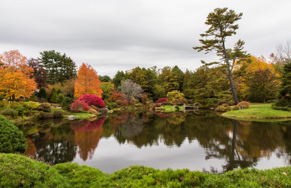 Asticou, Acadia National Park von Heinz Gutersohn