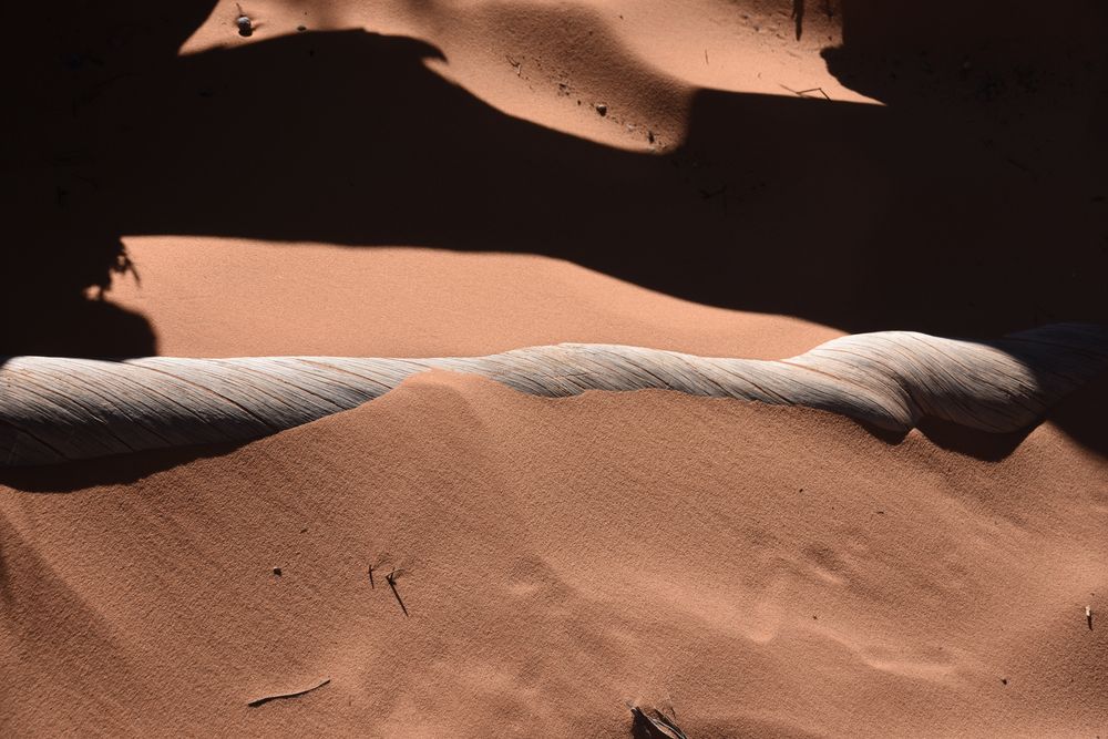 Vom Sand verschlungen von Sternath Barbara