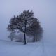 der Nebel kommt