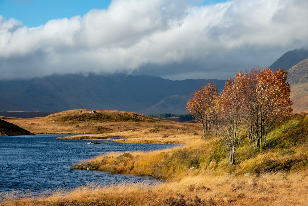 Loch Ba, Schottland von birdy55