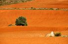 Kornfeld bearbeitet  im Sommer by Peter Cohn