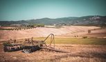 Herbstliches Feld von Schmely80