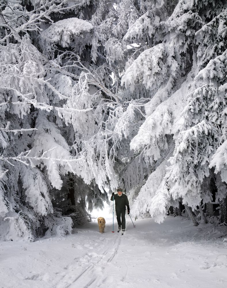 Wintersport im Zauberwald von Johann Frank