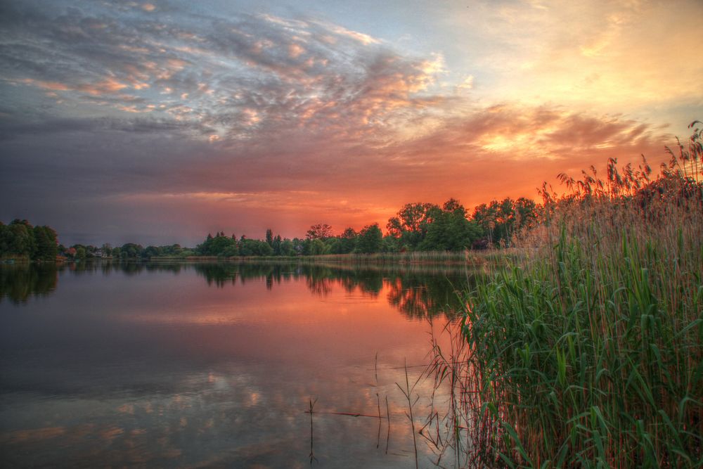 Falkenhagener See in rot von DS Fotografie