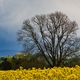 April-Wetter