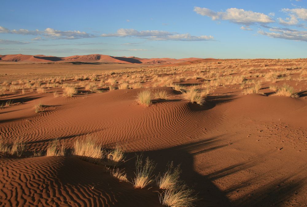 Ballonfahrt über die Namib von Sanddüne