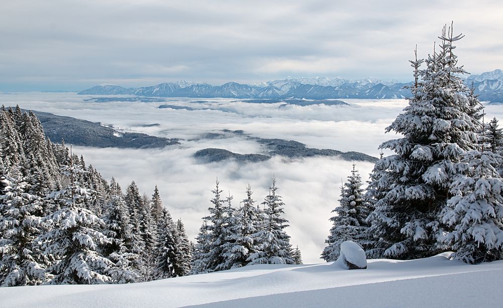 Winterwonderland von Lederhilger Photographie