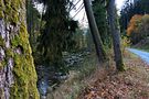 Blick ins Höllental von Otto Schulz 