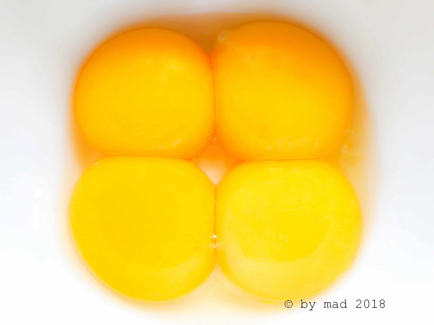 4_eggs