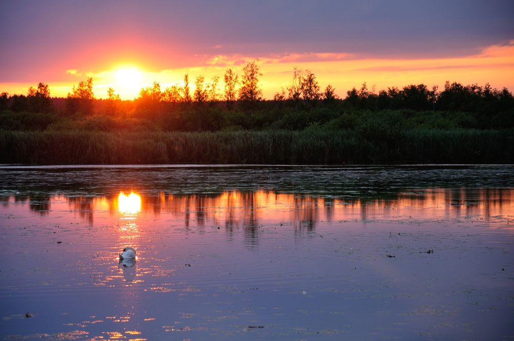 Sonnenuntergang am Federsee von Sven PLo