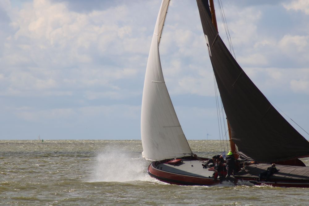 Sailing in Lemmer von lauraordelheide