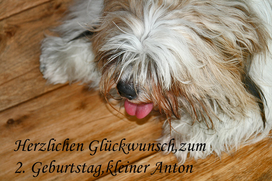 4.Oktober ,Anton hat Geburtstag heut......