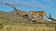 _4RG3993_20171204_060959