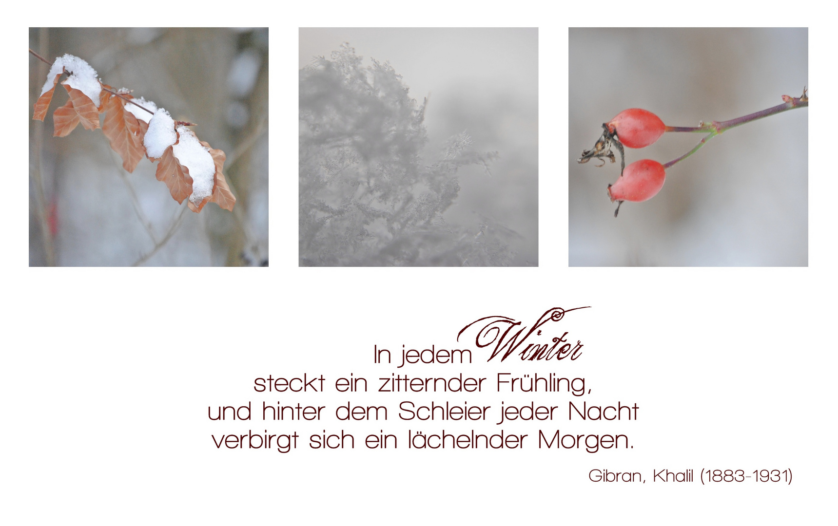 4ter Advent