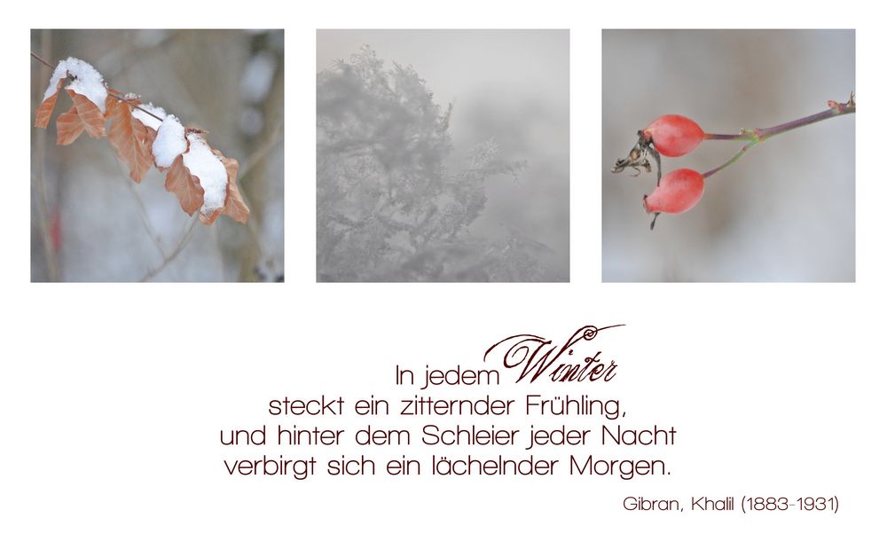 4ter Advent