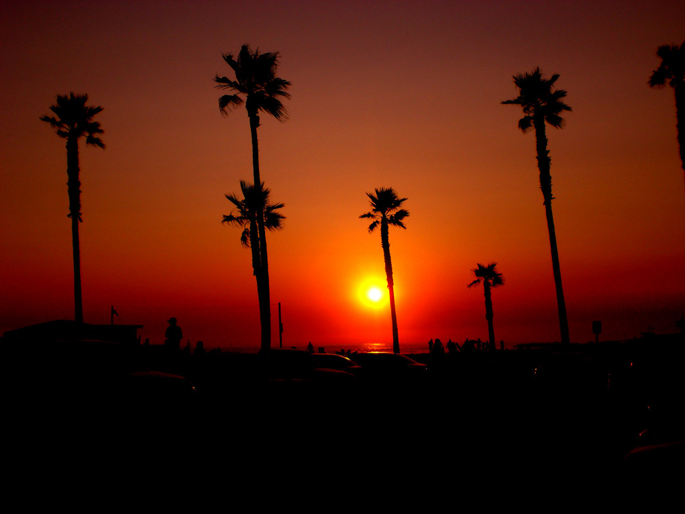 4th July Venice Beach 2