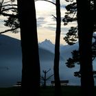 4.Thunersee, Morgenstimmung, Herbst 2010